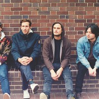 Cheatahs-Web-edited